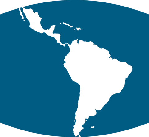 Facultad Latinoamericana de Ciencias Sociales (FLACSO CHILE)