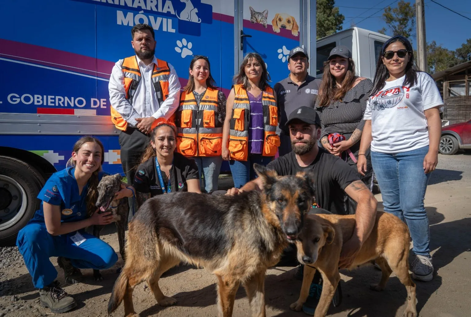 Municipalidad de Melipilla junto a Organizaciones de Protección animal rescatan más de 30 perros en pésimas condiciones sanitarias en Chocalán