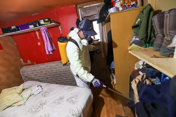 En Baltazar Castro Municipalidad de Rancagua comenzó intenso proceso de fumigación de plagas