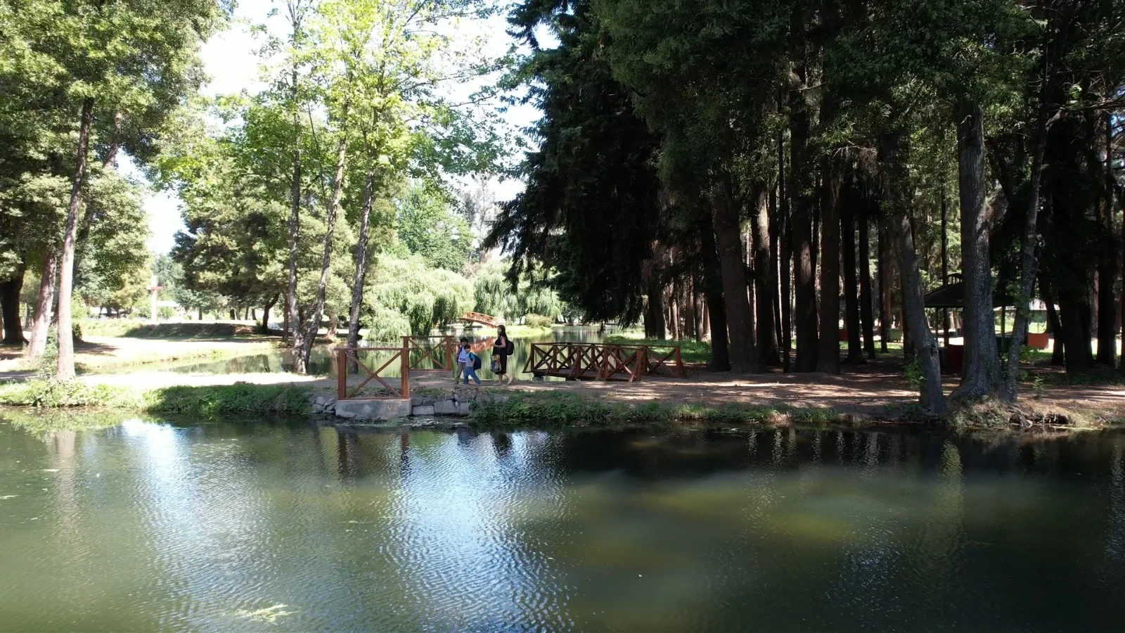 En forma unánime el Consejo Regional aprobó más de 360 millones de pesos para diseño del mejoramiento del Parque Isabel Riquelme de Lautaro