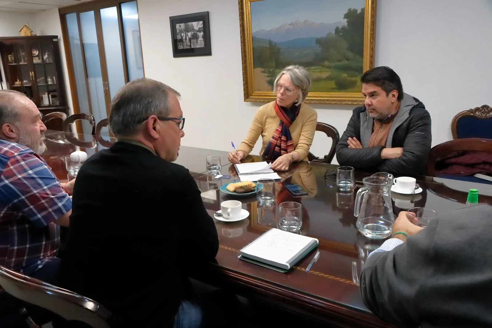 Comisión de Salud ACHM se reúne con la OPS/OMS Chile